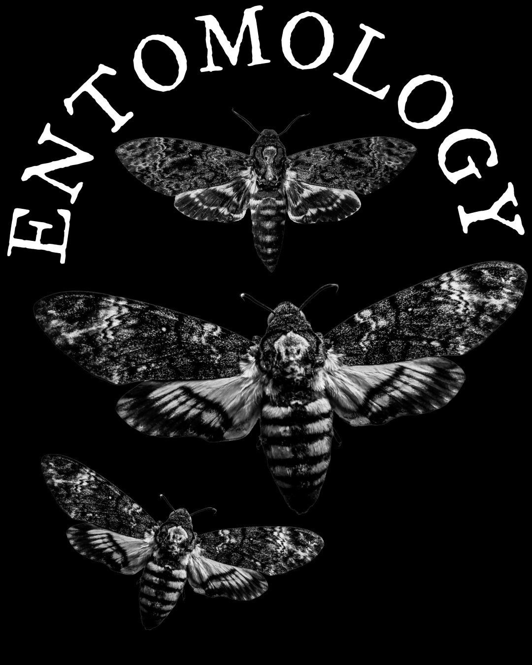 Entomology