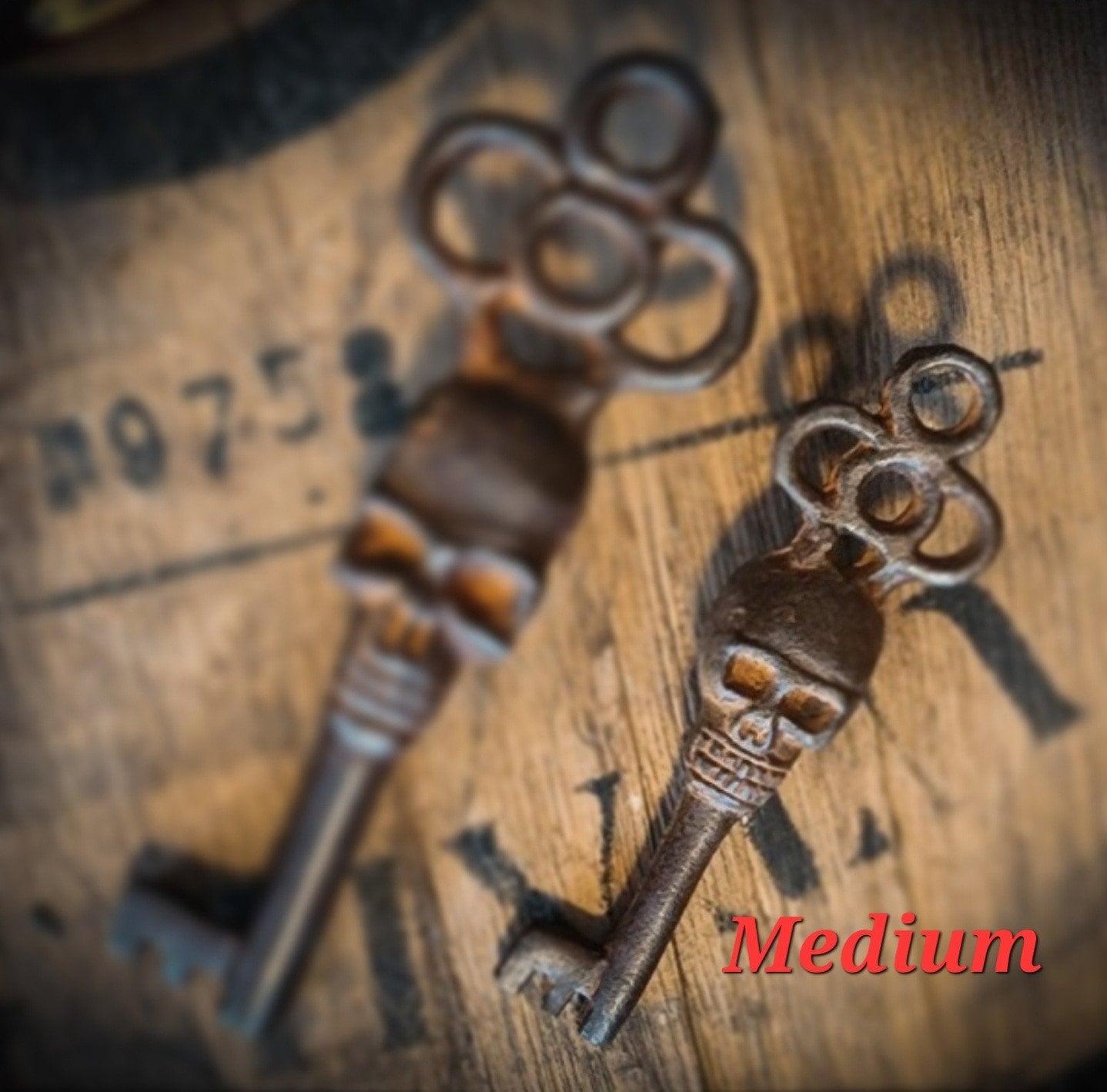 Cast Iron Skeleton Key Medium