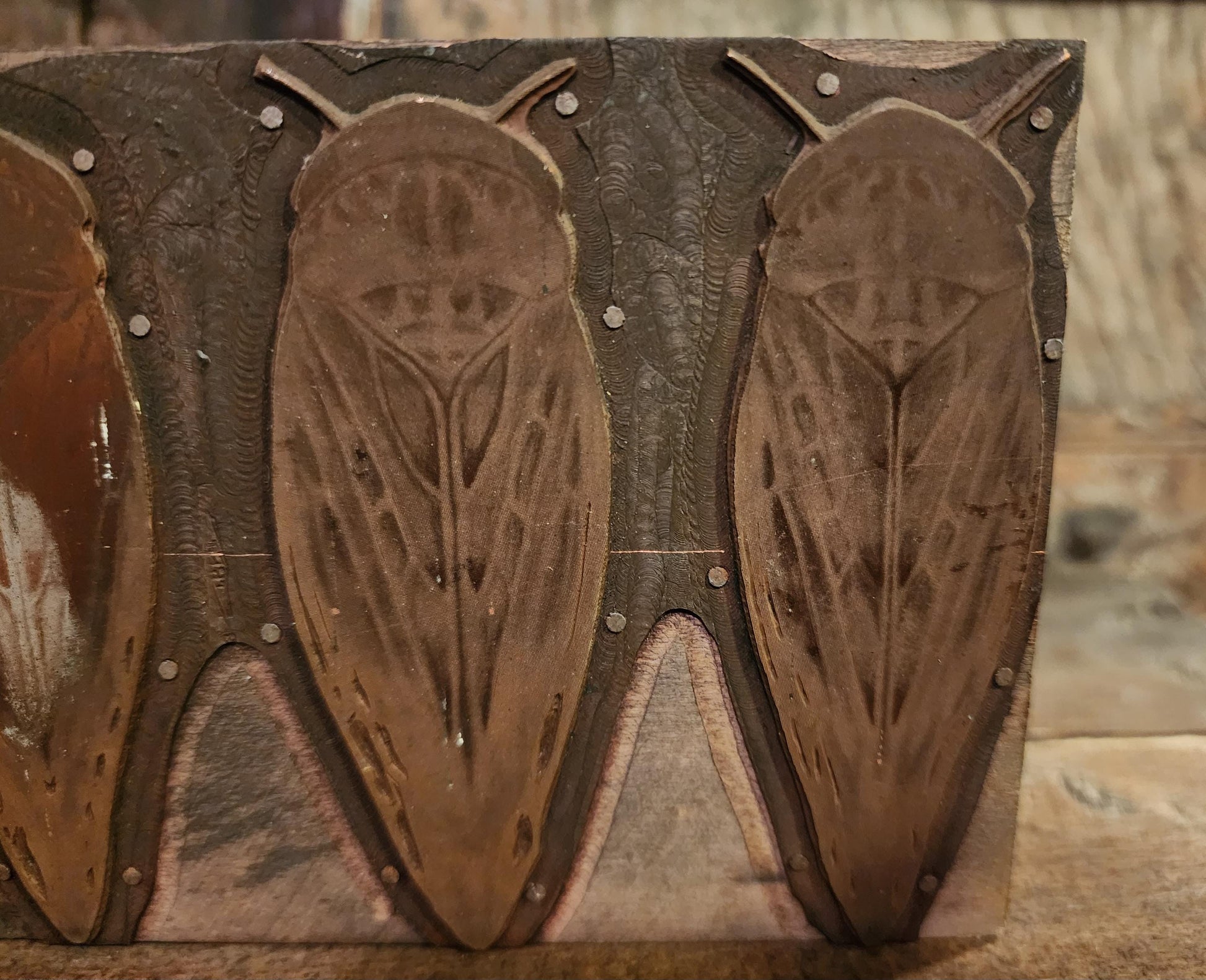 Antique Cicada Printing Block