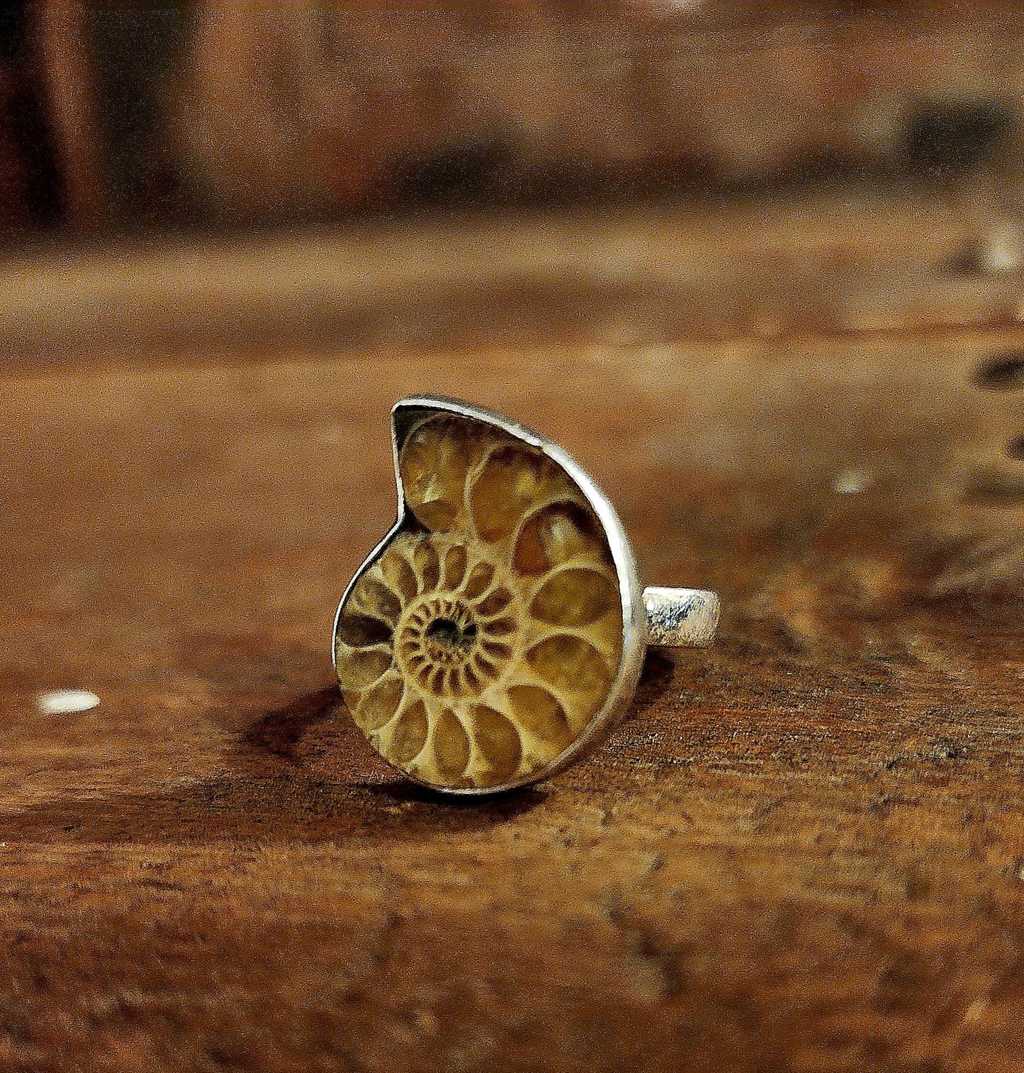 Ammonite Ring