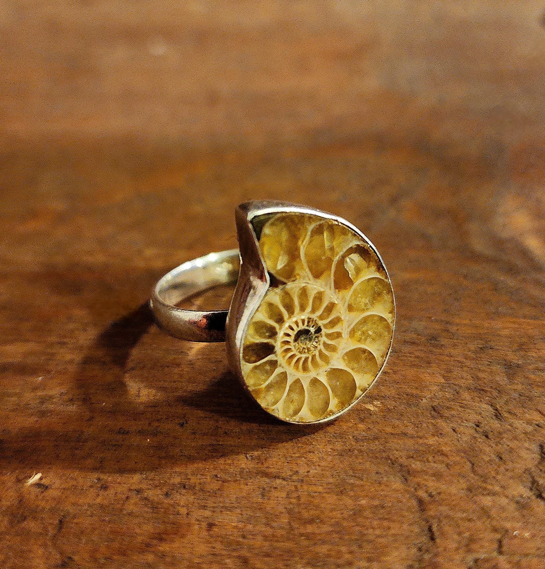 Ammonite Ring