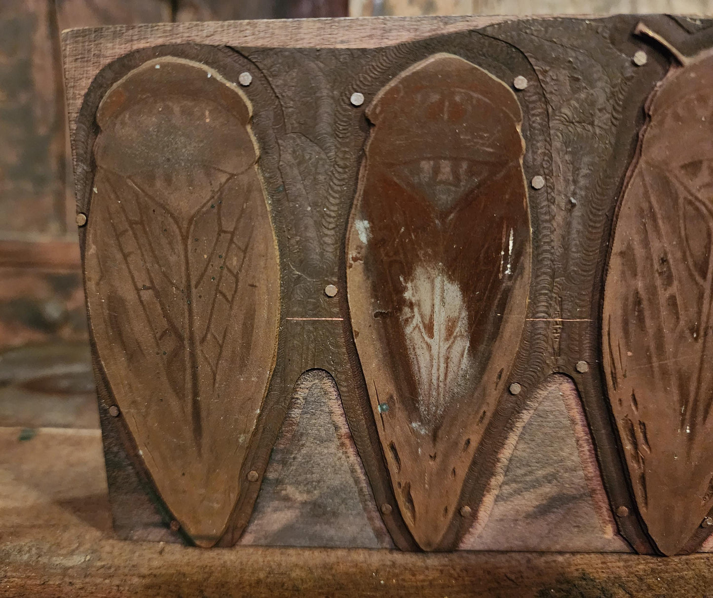 Antique Cicada Printing Block