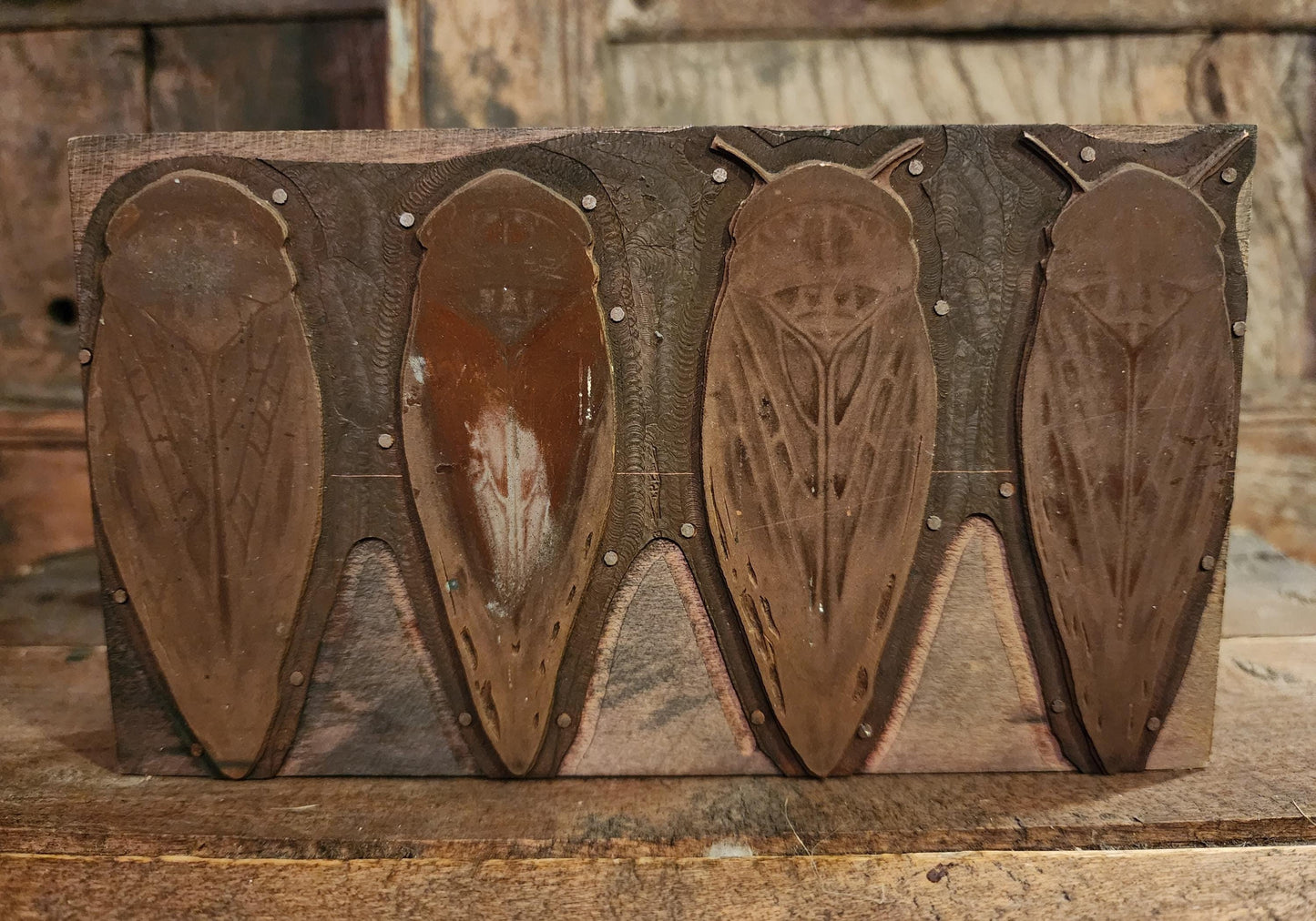 Antique Cicada Printing Block