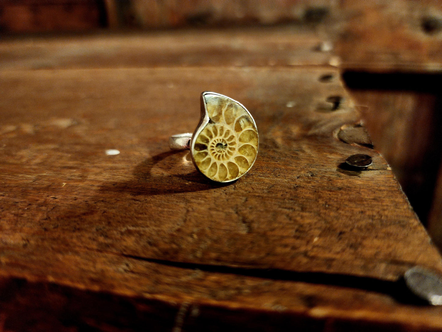 Ammonite Ring